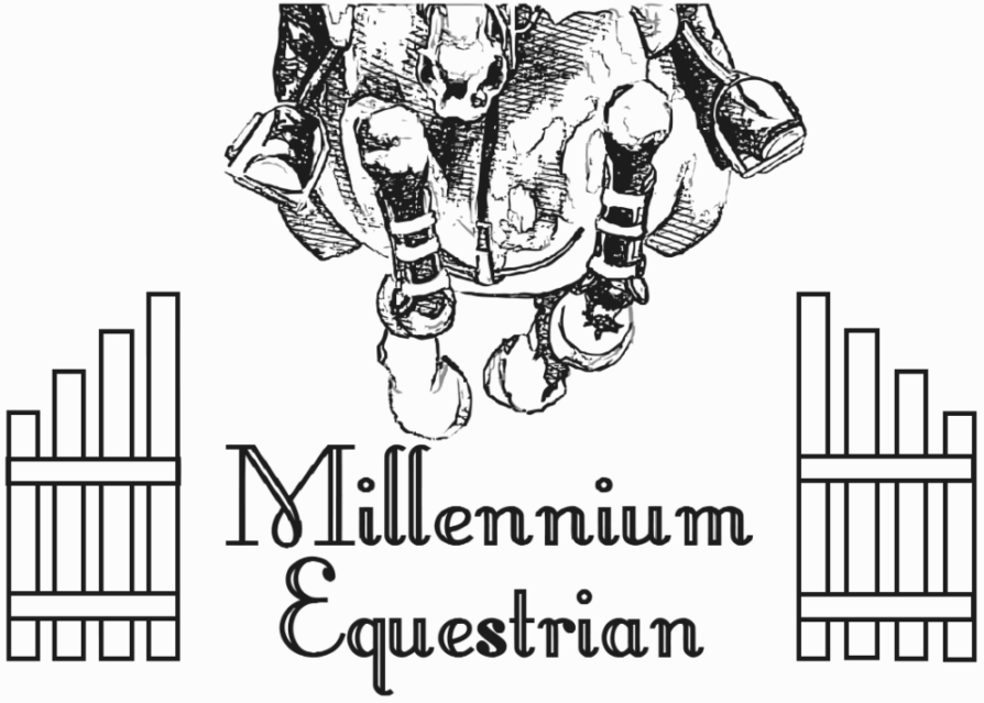 Millennium Equestrian